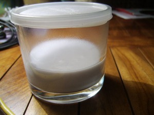 Coco yogurt: Before
